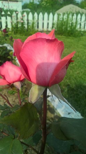 WP_20160521_17_49_15_Pro