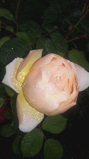 20160524_182013