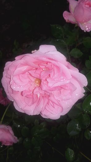 20160524_182419