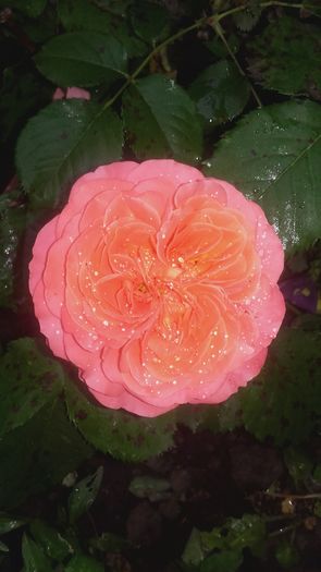 20160524_182540