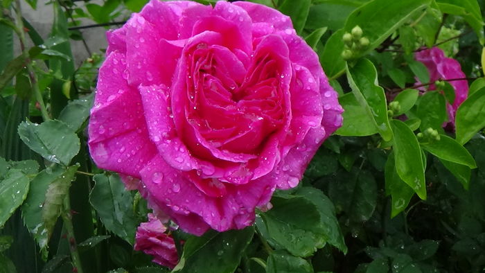 DSC04359