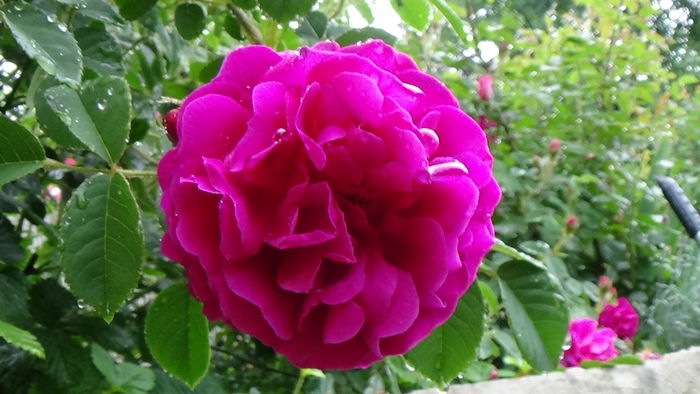 DSC04378