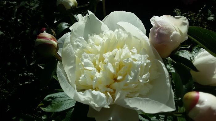 026