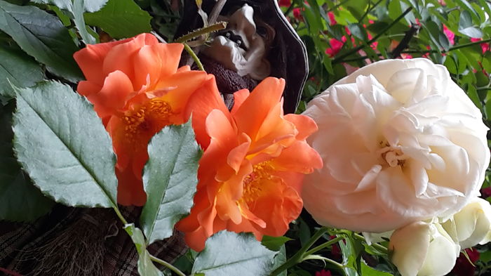 20160524_115648 - mai 2016