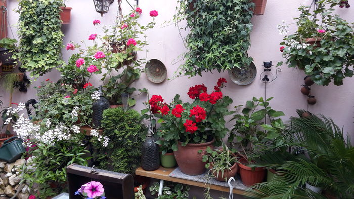 20160523_151743 - mai 2016