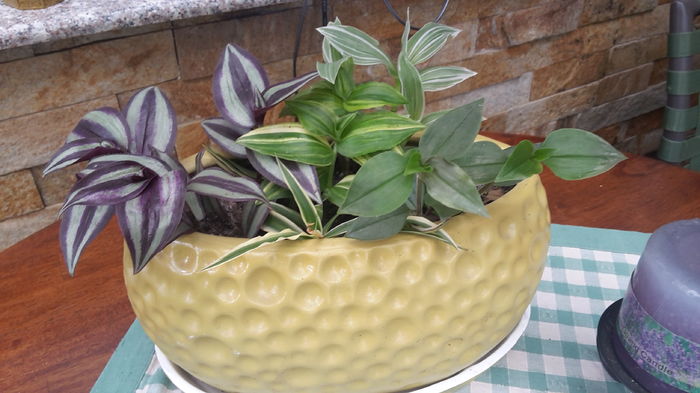 20160523_154618 - mai 2016