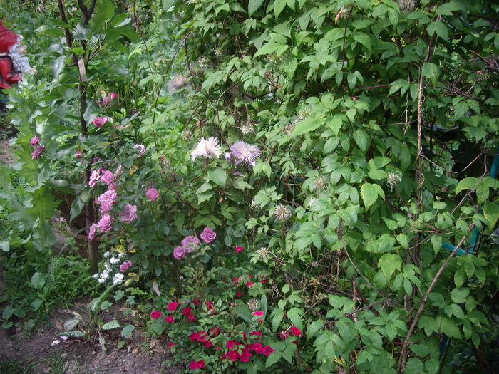 IMGP9433