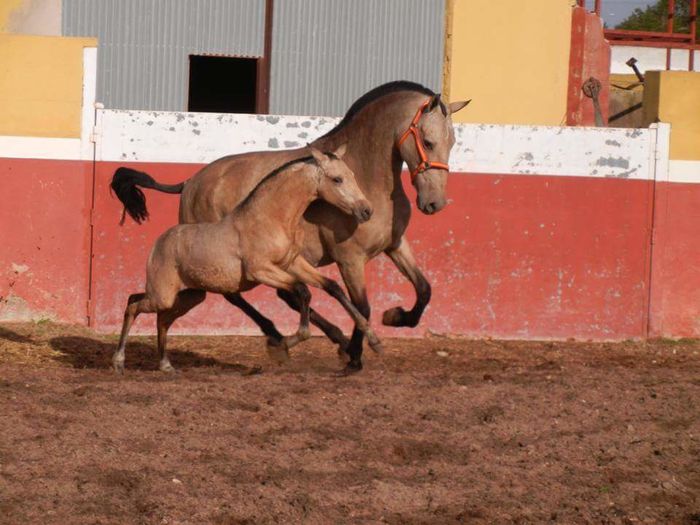 FB_IMG_1464092972345