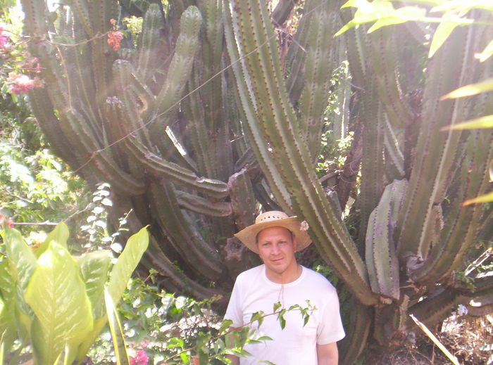 Mexic2012 418; acatlan de juarez
