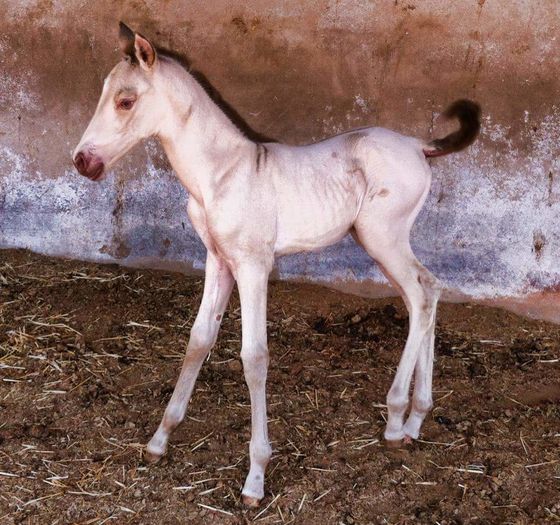 FB_IMG_1464092919340