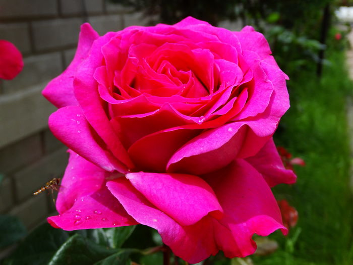 DSC07959