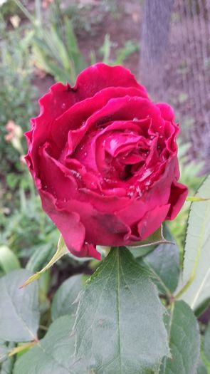 20160527_072530