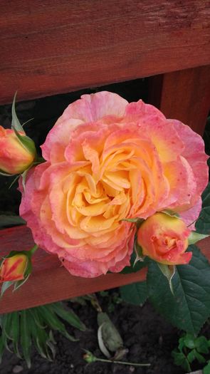 20160527_072719