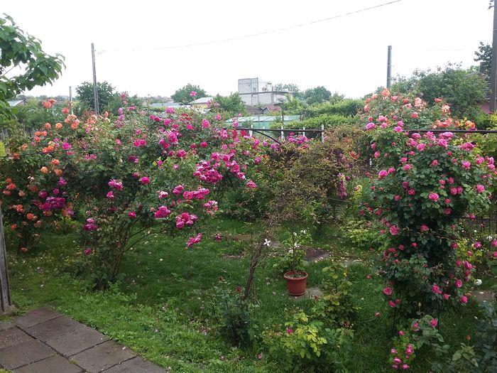 20160526_162511