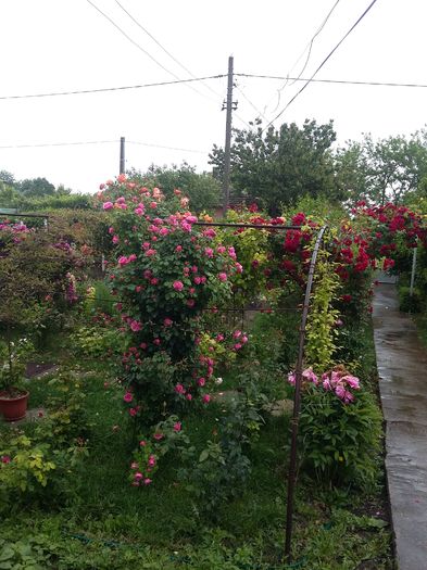 20160526_162614