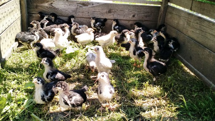 IMG_20160521_130824347