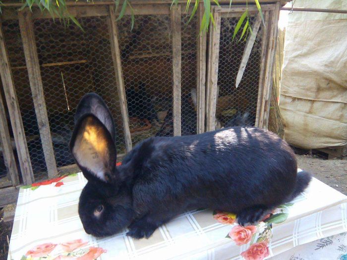 received_503656676493008