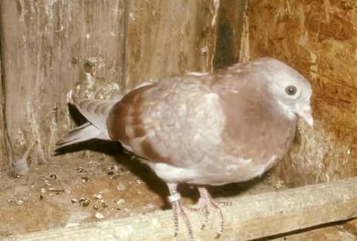 FB_IMG_1464367951044