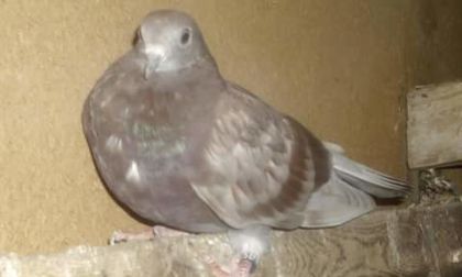 FB_IMG_1464367919614