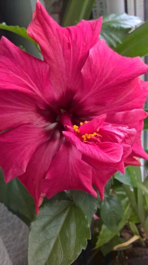 WP_20160526_09_11_48_Pro