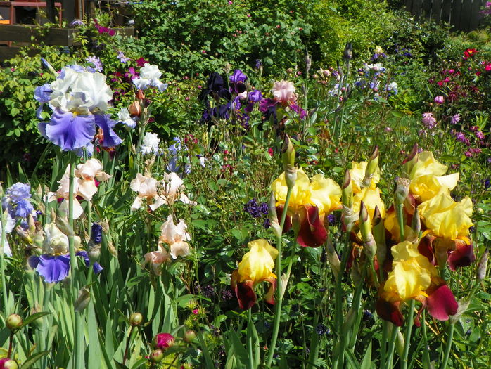 28 mai (131)