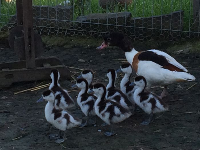 Am crescut un pic - Tineret 2016