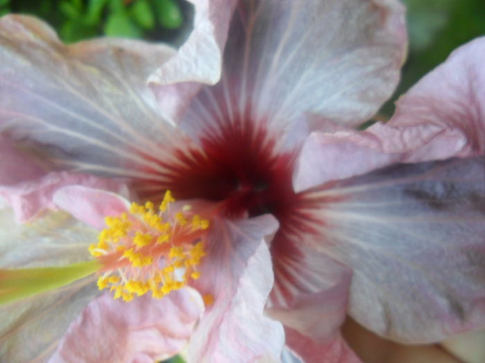 018
