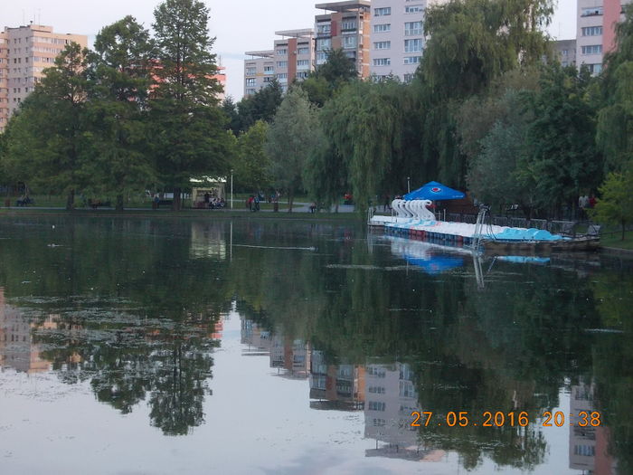 DSCN1289 - LEBEDE 2016