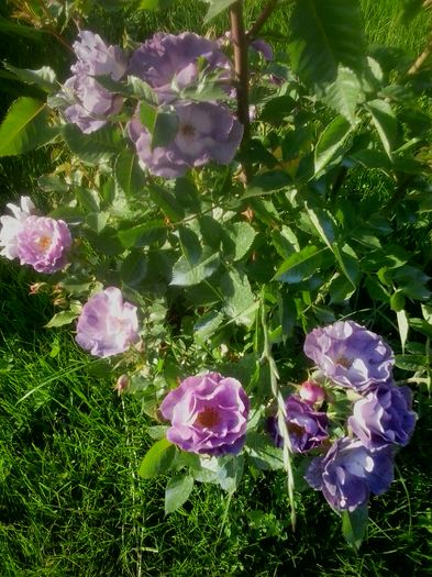 20160528_184534