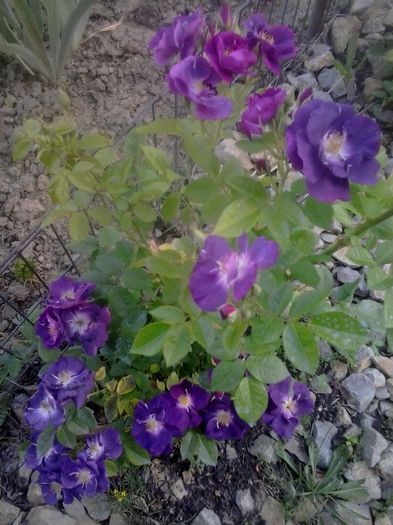 20160528_184639