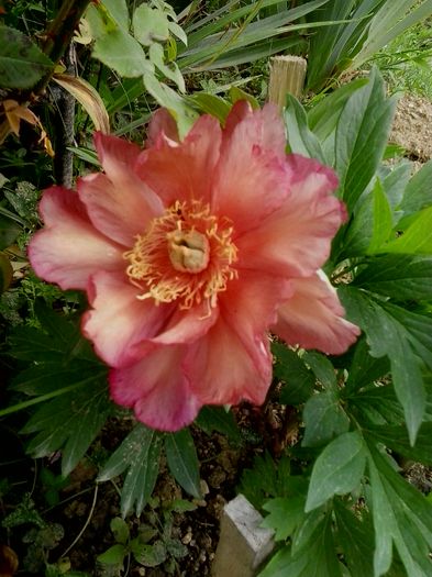 20160526_162423