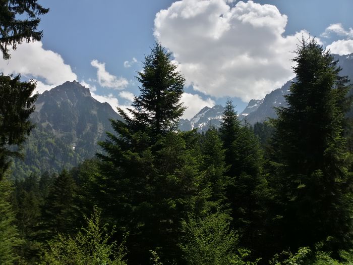 La cascade de l%u2019Oursi - La cascade de l Oursiere