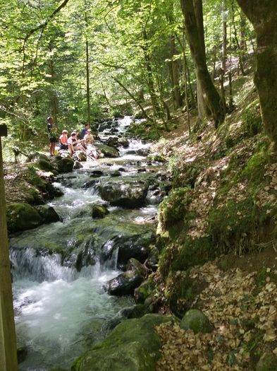 La cascade de l%u2019Oursi - La cascade de l Oursiere