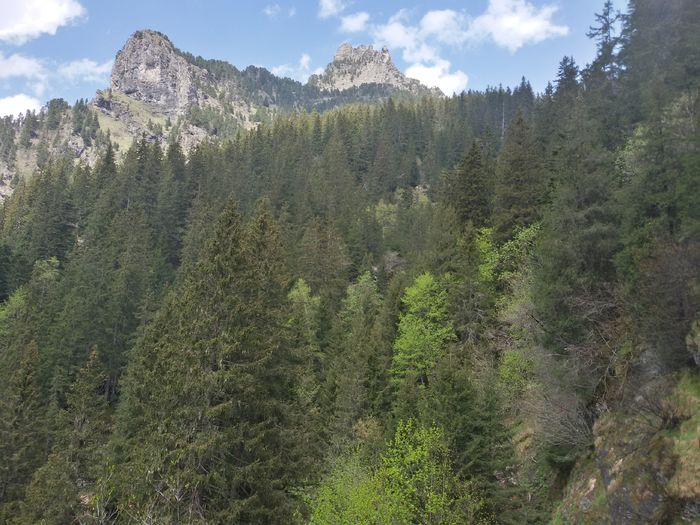 La cascade de l%u2019Oursi - La cascade de l Oursiere