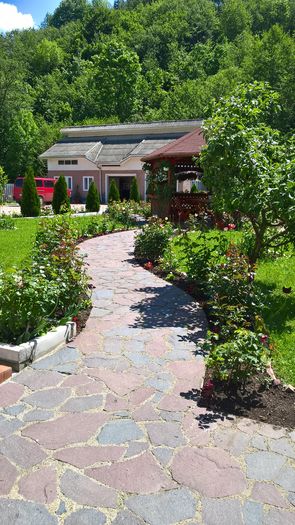 WP_20160529_12_15_56_Pro