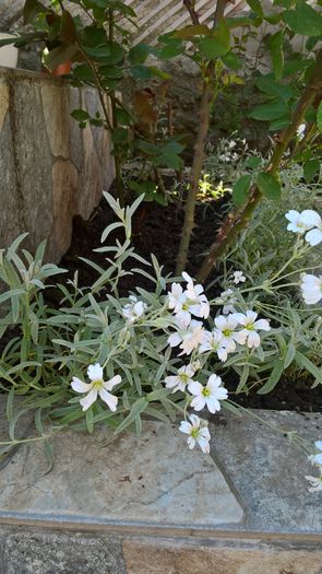 WP_20160529_12_15_38_Pro