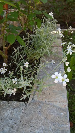 WP_20160529_12_15_45_Pro