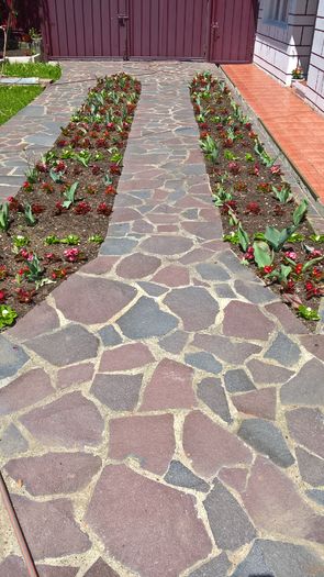 WP_20160529_12_16_17_Pro