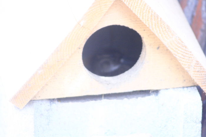 In sfarsit dupa lungi asteptari - rata baikal