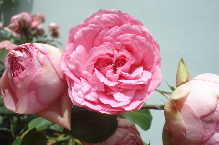 Mai 2016 - Happy Piano