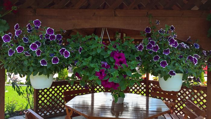 WP_20160529_11_23_51_Pro