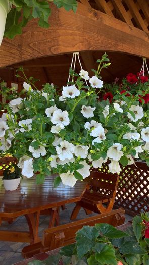 WP_20160529_11_22_48_Pro