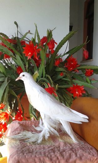 20160529_180029