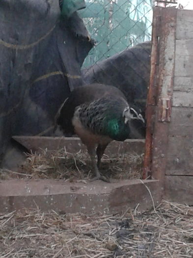 1464536178000-1376539170