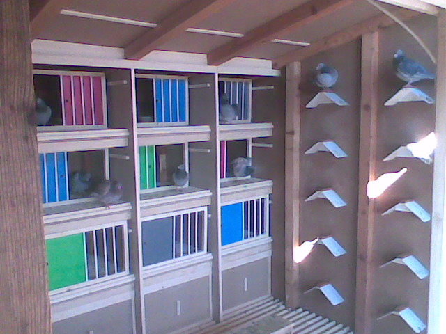 Interiorul...; cresc. prietenului,Stefan Ghe. (Mazare)
