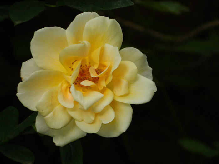 DSCN9847 - 2016 MAI_5