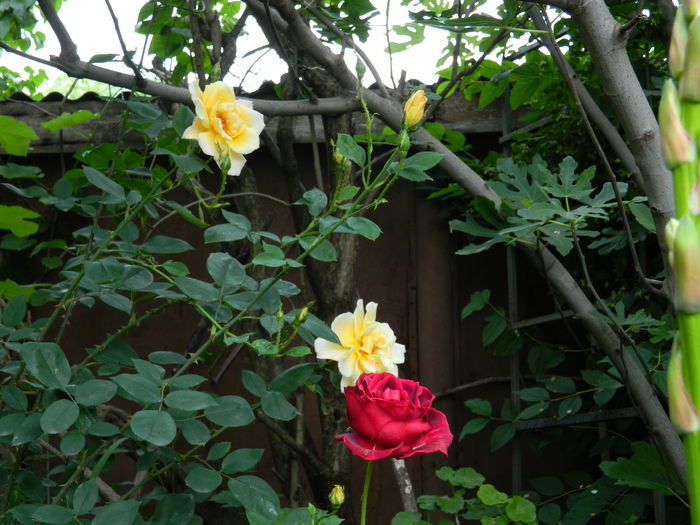 DSCN9858
