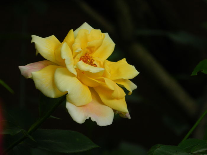 DSCN9869