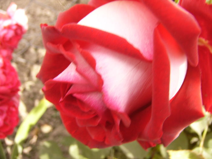 P1280569