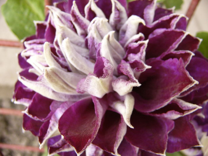 P1280578